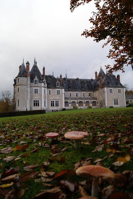 内尔河畔欧比尼 Chateau De La Verrerie酒店 外观 照片